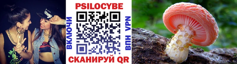 Псилоцибиновые грибы Magic Shrooms Сольвычегодск